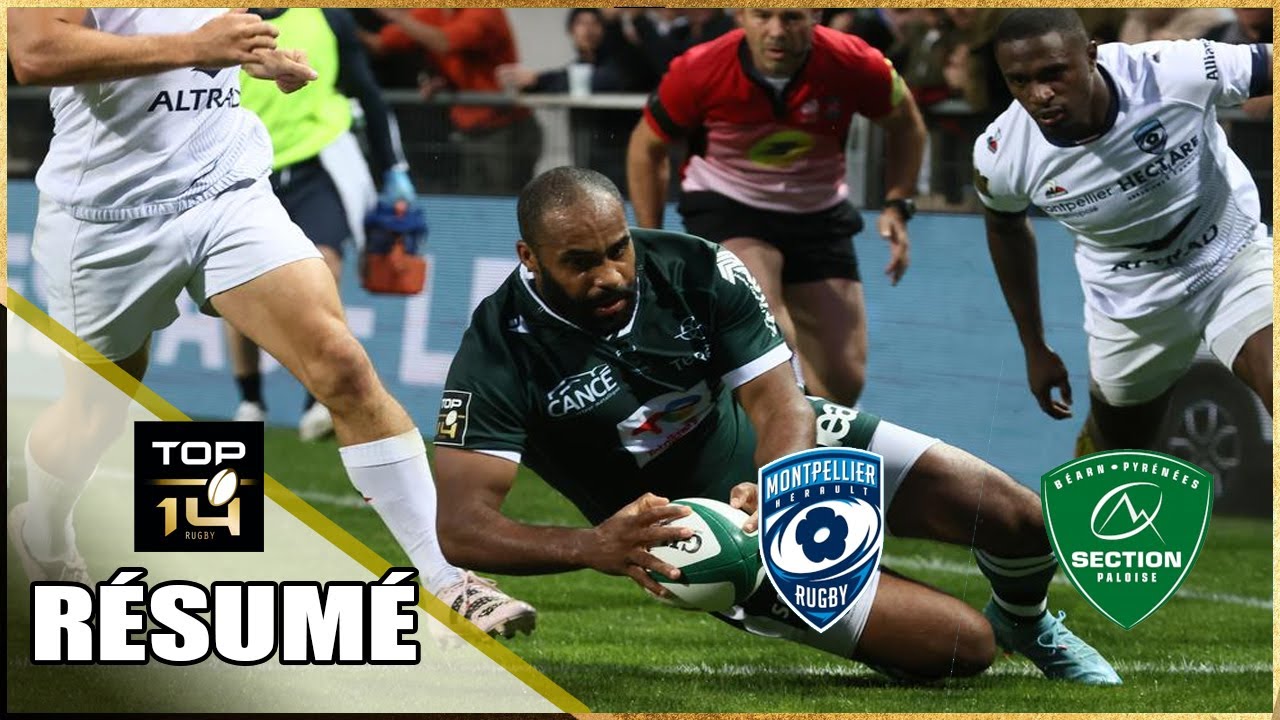 Montpellier vs Section Paloise FULL GAME HIGHLIGHTS | Half-time Highlights | France Top 14