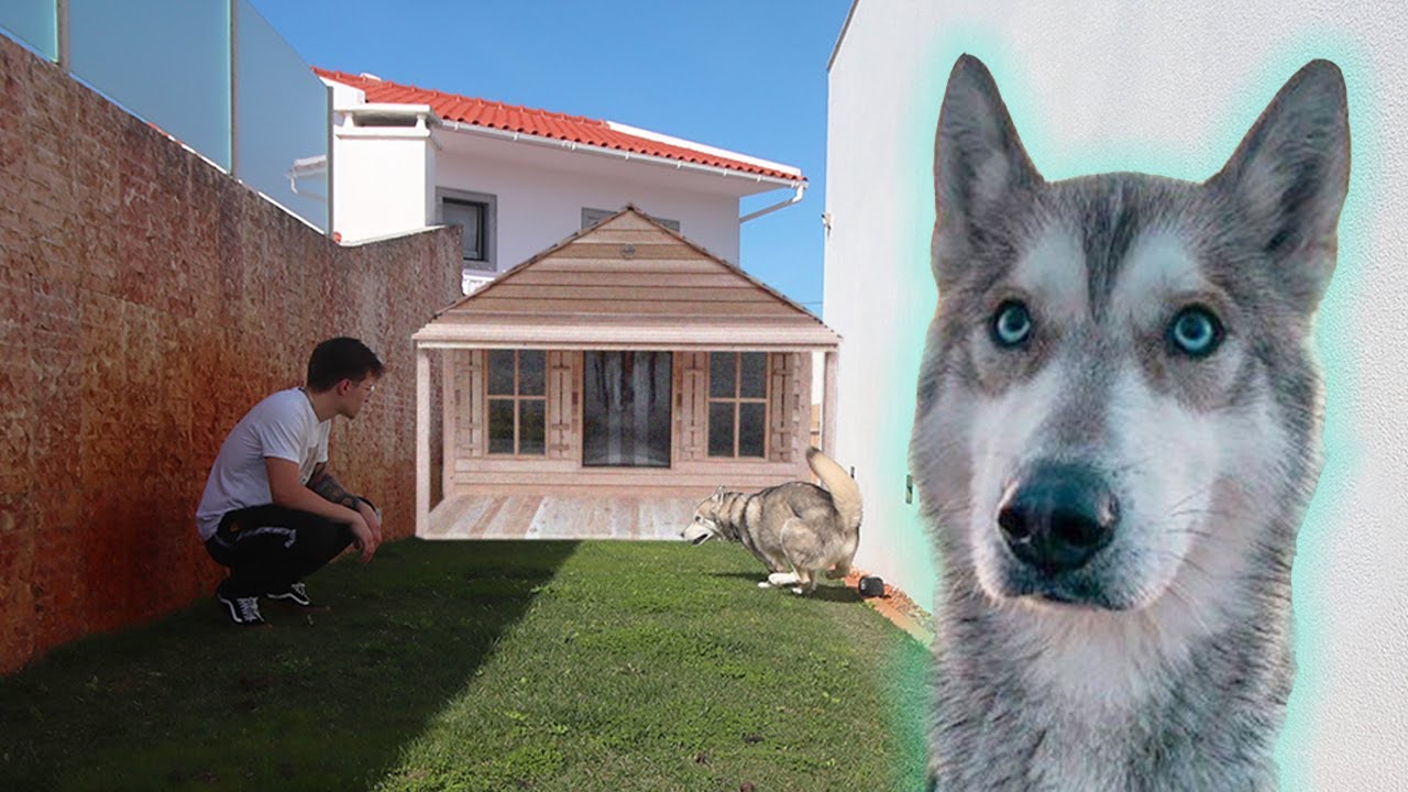 A NOVA MANSÃO DE LUXO DO MEU CÃO