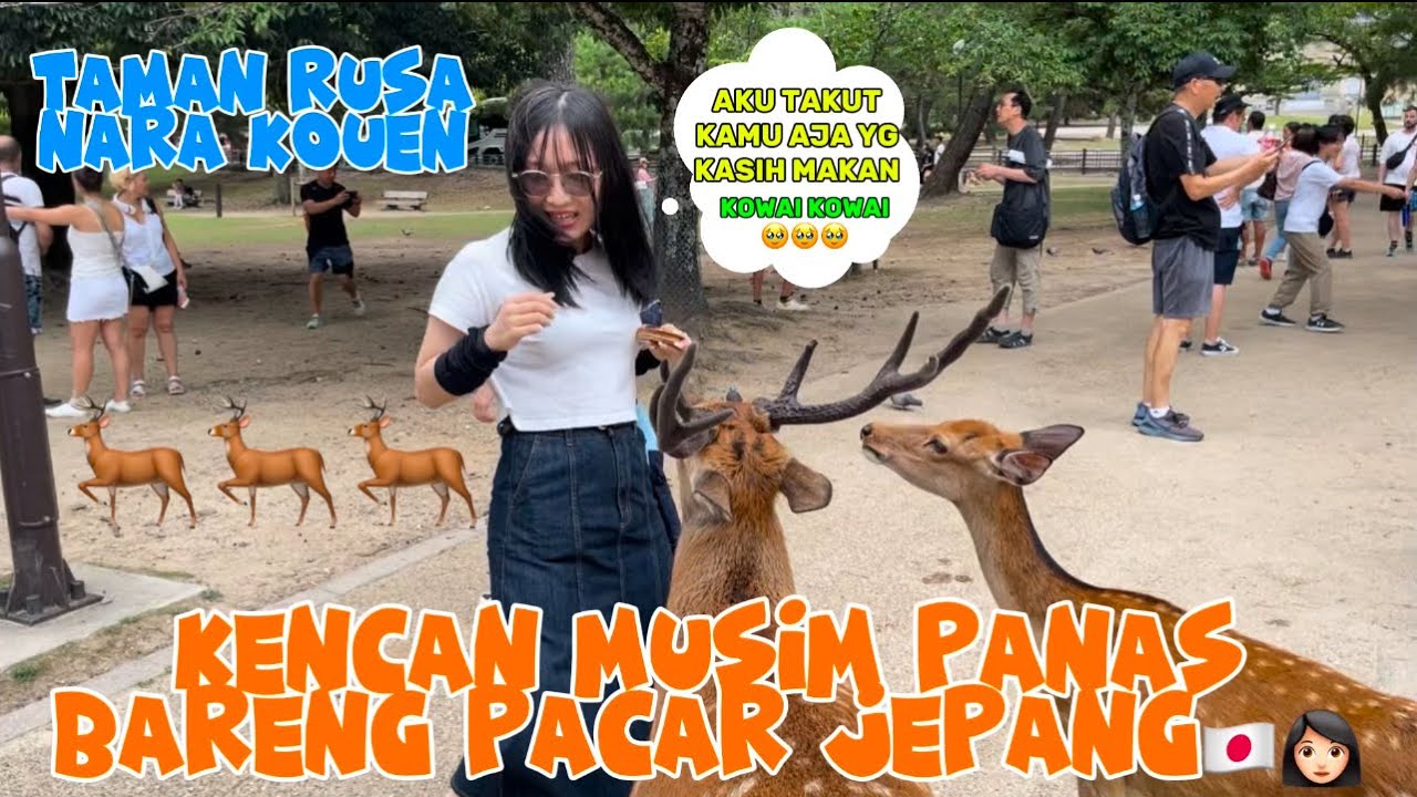 KENCAN MUSIM PANAS BARENG PACAR JEPANG DI NARA KOUEN🇯🇵🎌👩🏻#nara #jepangindonesia #pacarjepang