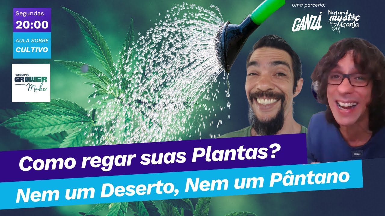 Segredos da Rega: Dosagem Certa para o Sucesso! 💧🌱 Mantenha Suas Plantas Hidratadas e Felizes