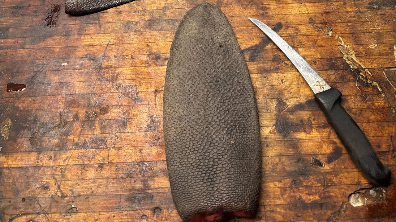 How to tan a beaver tail: Part 3-pickling/degrease