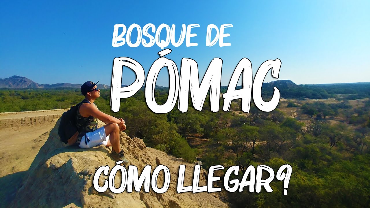 🌳 Bosque de POMAC - COMO LLEGAR sin tours 🔥 Qué hacer 🏜️🏞️ (Chiclayo, Lambayeque) Peru turismo 2024
