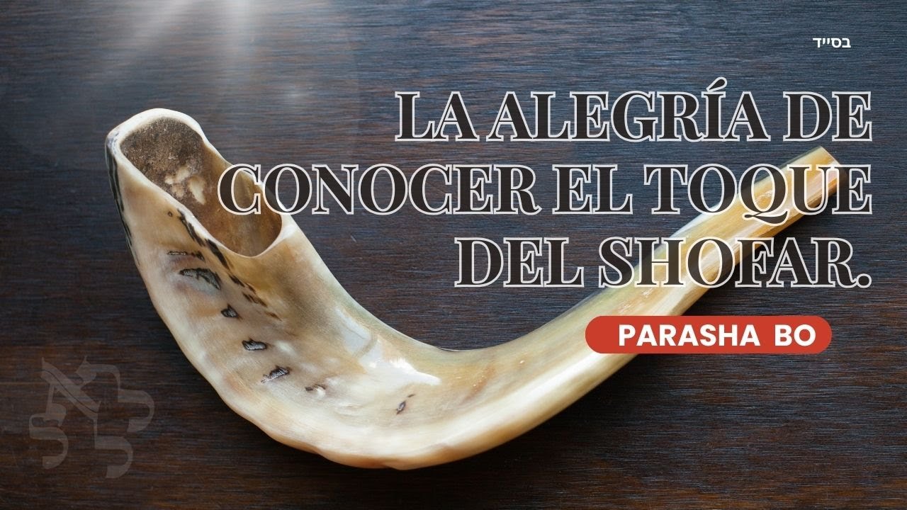 ¿Qué son los Pikudin? La Intimidad con lo Divino según el Zohar