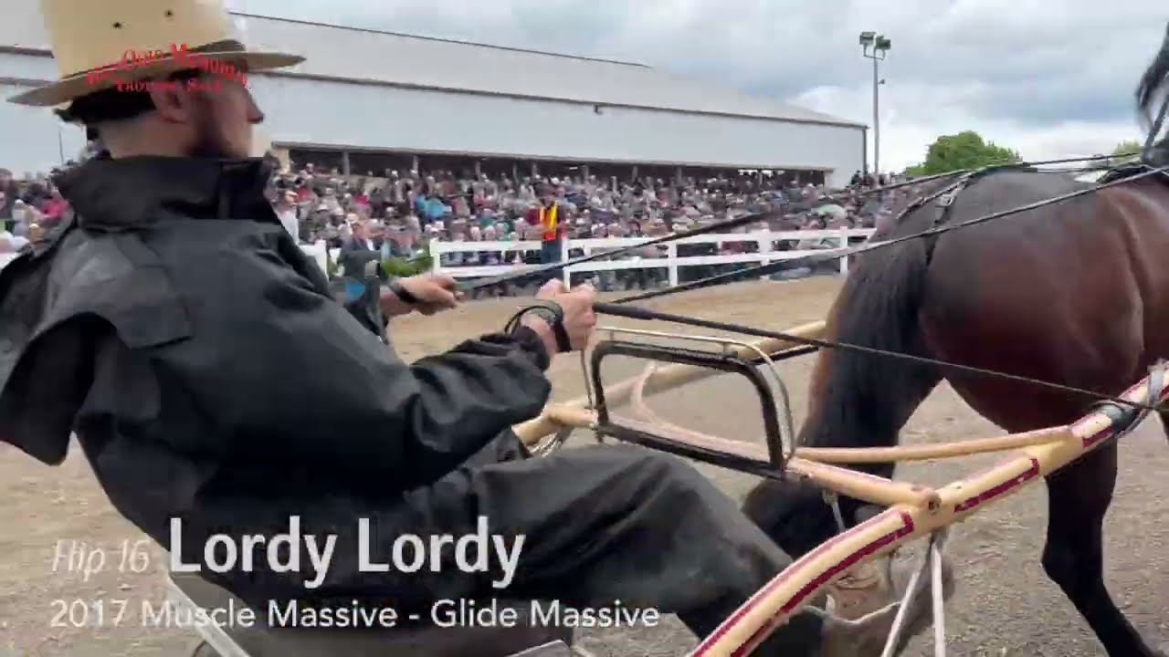 Hip 16 Lordy Lordy, $1.375 Million | 2022 Mid Ohio Memorial Trotting Sale