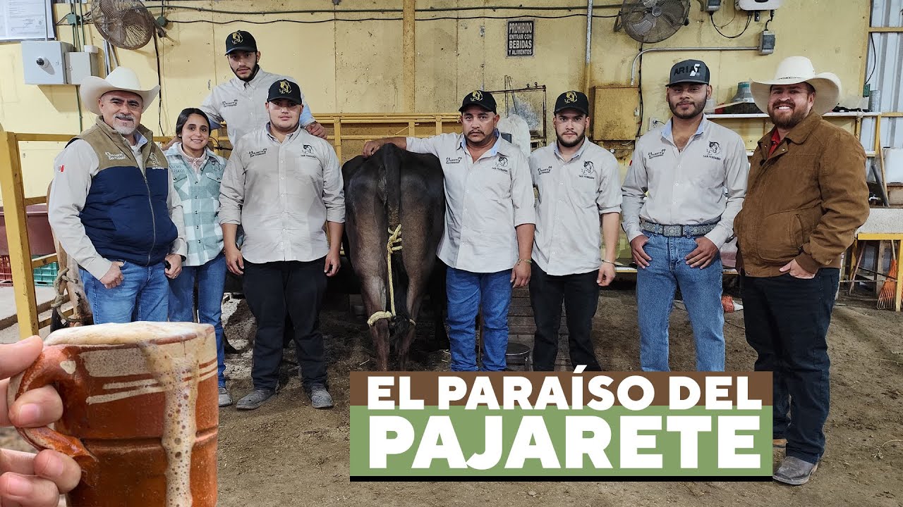 ¡Pajaretes Como Nunca los Has Probado! Leche, Música, Fiesta y Sabor.