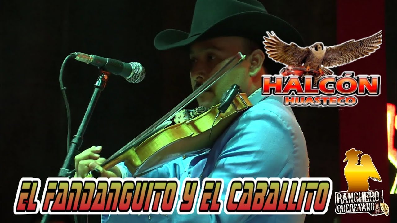 Halcon Huasteco - El Fandanguito y El Caballito