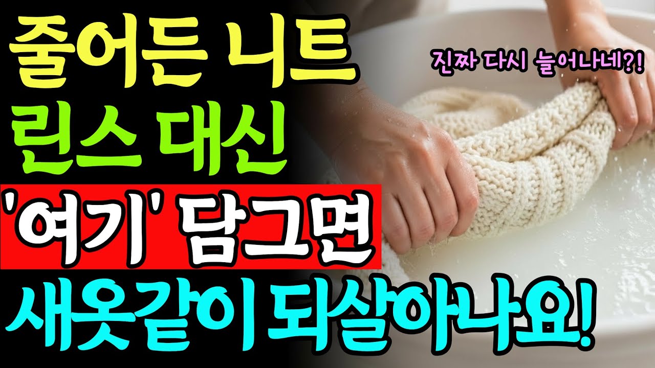 줄어든 니트, 린스 쓰지 마세요! '이것' 하나로 새것처럼 복구하는 방법ㅣ세탁소 비밀 공개