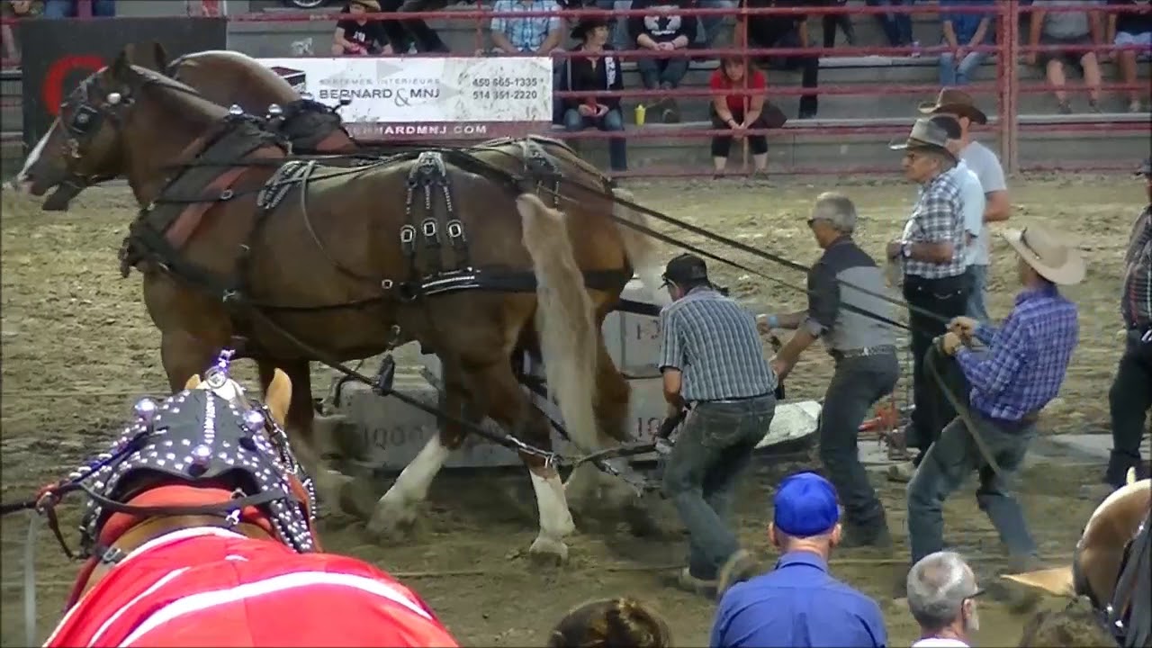 Tire de chevaux ST- VICTOR GROSSE CLASSE 2018