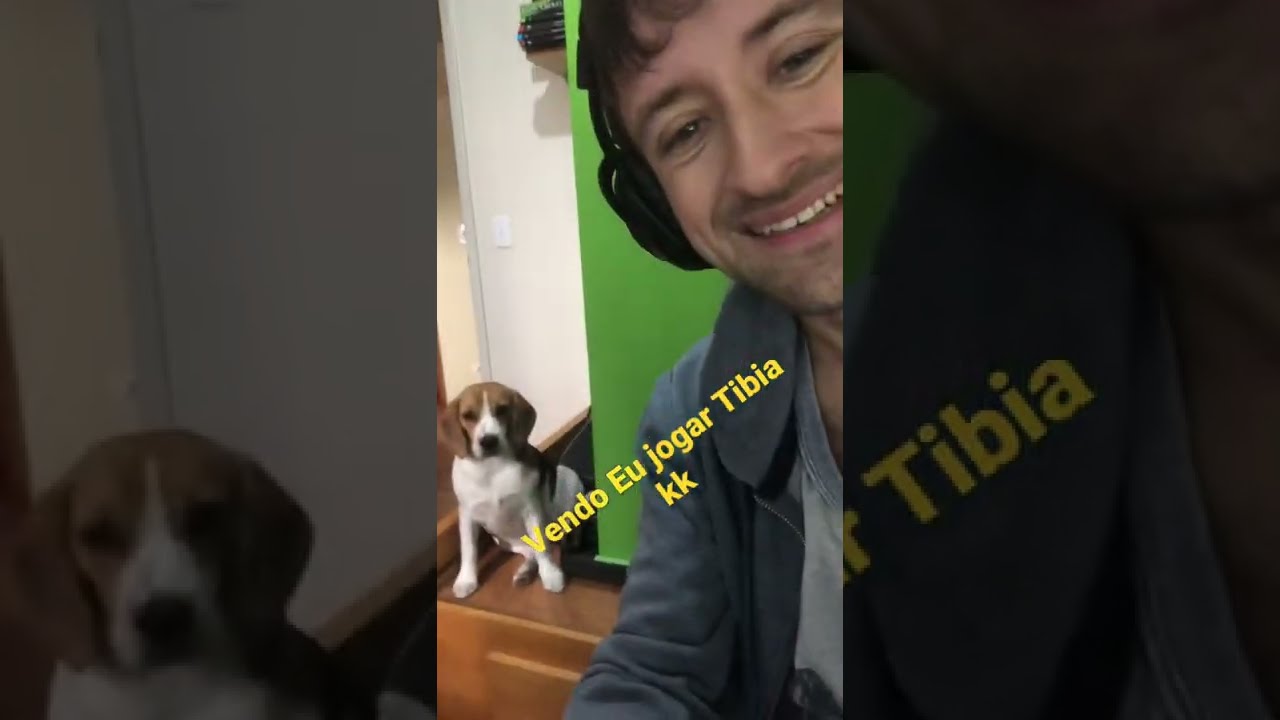 Beagle vendo o humano jogar Tibia kkkkkk
