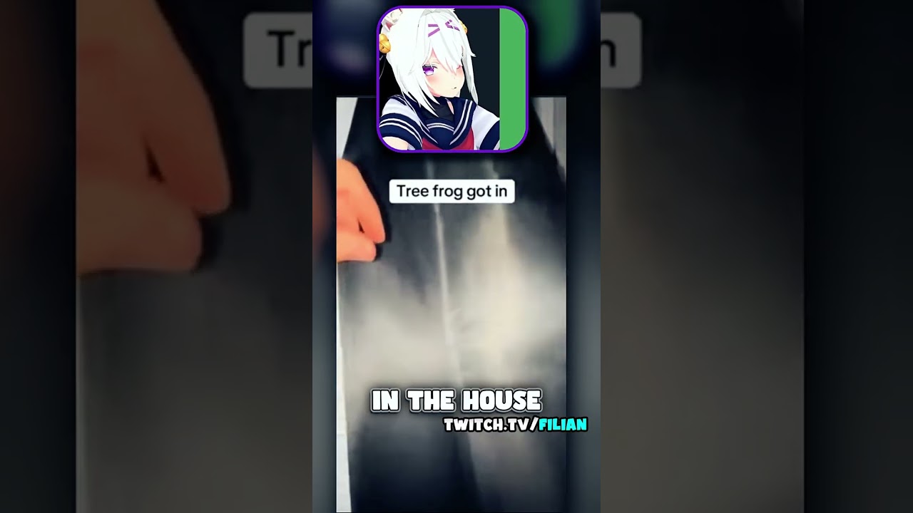 Filian got scared by a frog #vtuber #livestream