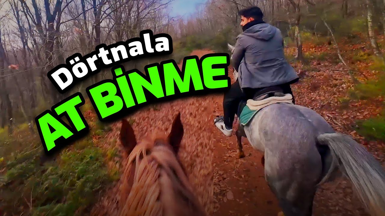 Dörtnala At Binmeye Doyacaksınız! Ormanda At Binme | Atçılık Merkezi, Gebze