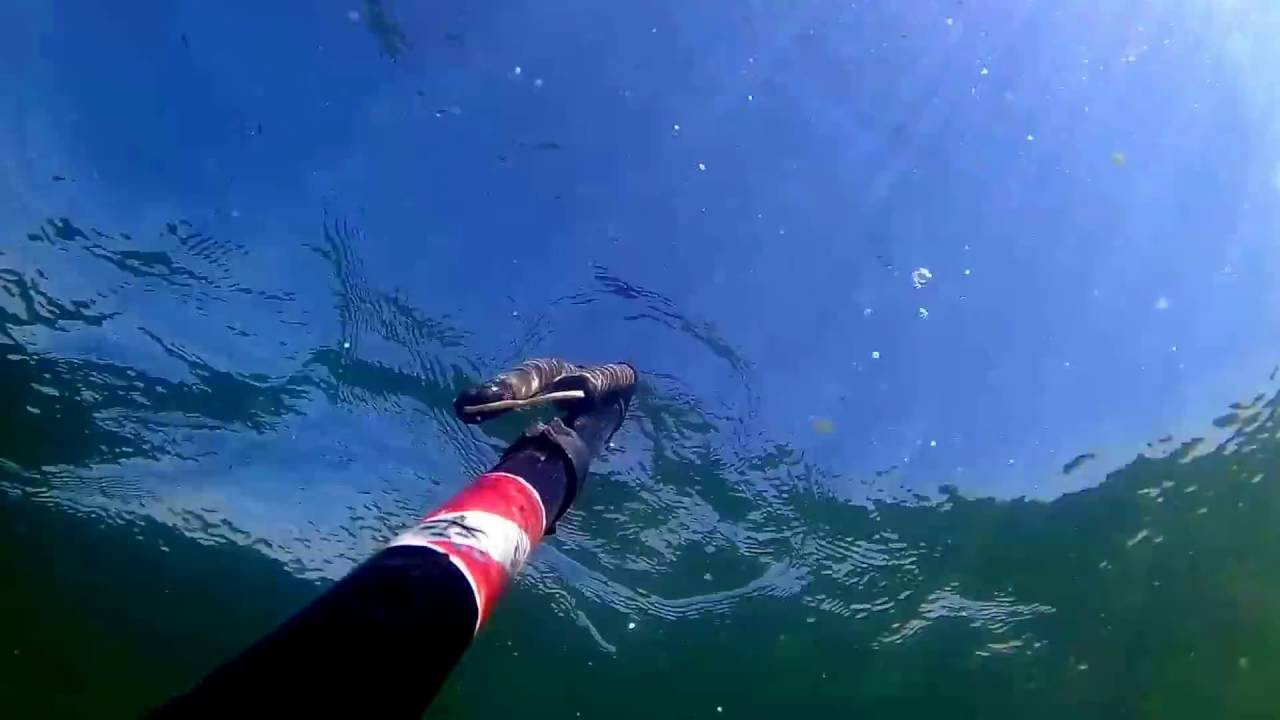 pesca sub  tucuna