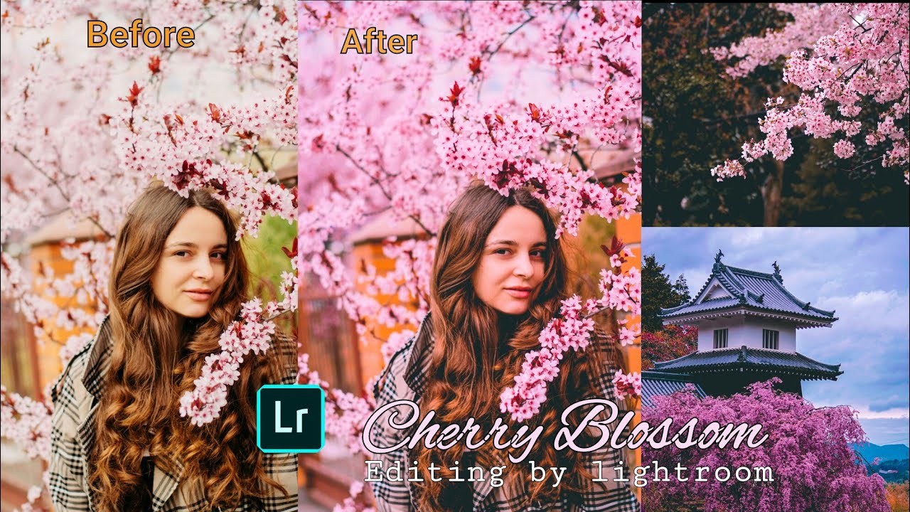 Cherry Blossom Preset By Lightroom | Lightroom Photo Editing Tutorial | Free Preset Download