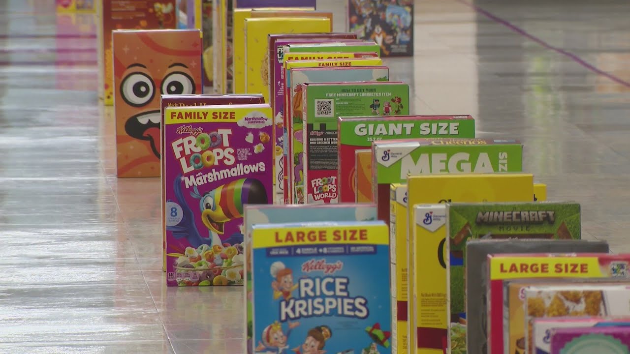 Ridge Lawn Elementary School students turn cereal drive into domino chain of kindness