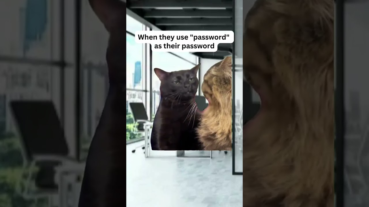 Us secretly judging you like... #fyp #catzoningout #memes #cybersecurity #cyberawareness #cyber
