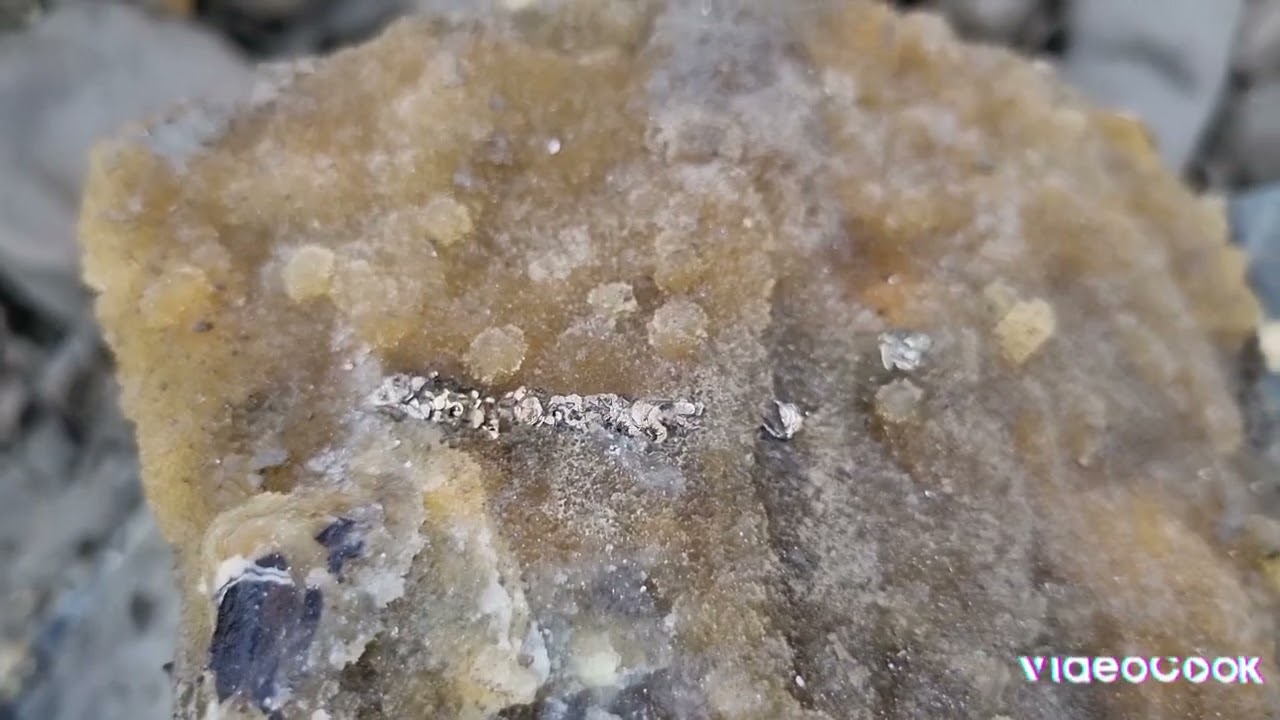 UK Rocks. Trip to Isle of Sheppey. Finding treasure enclosed in rock and..  buried in mud.