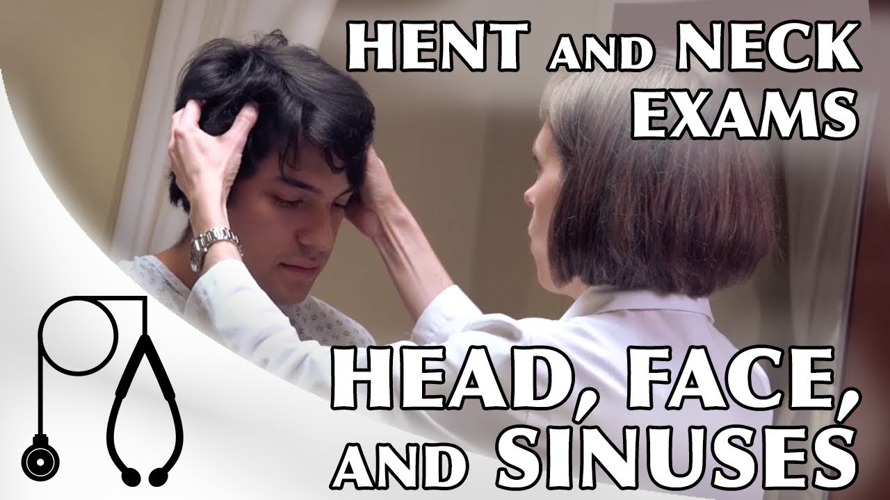 Head Face and Sinuses (a)