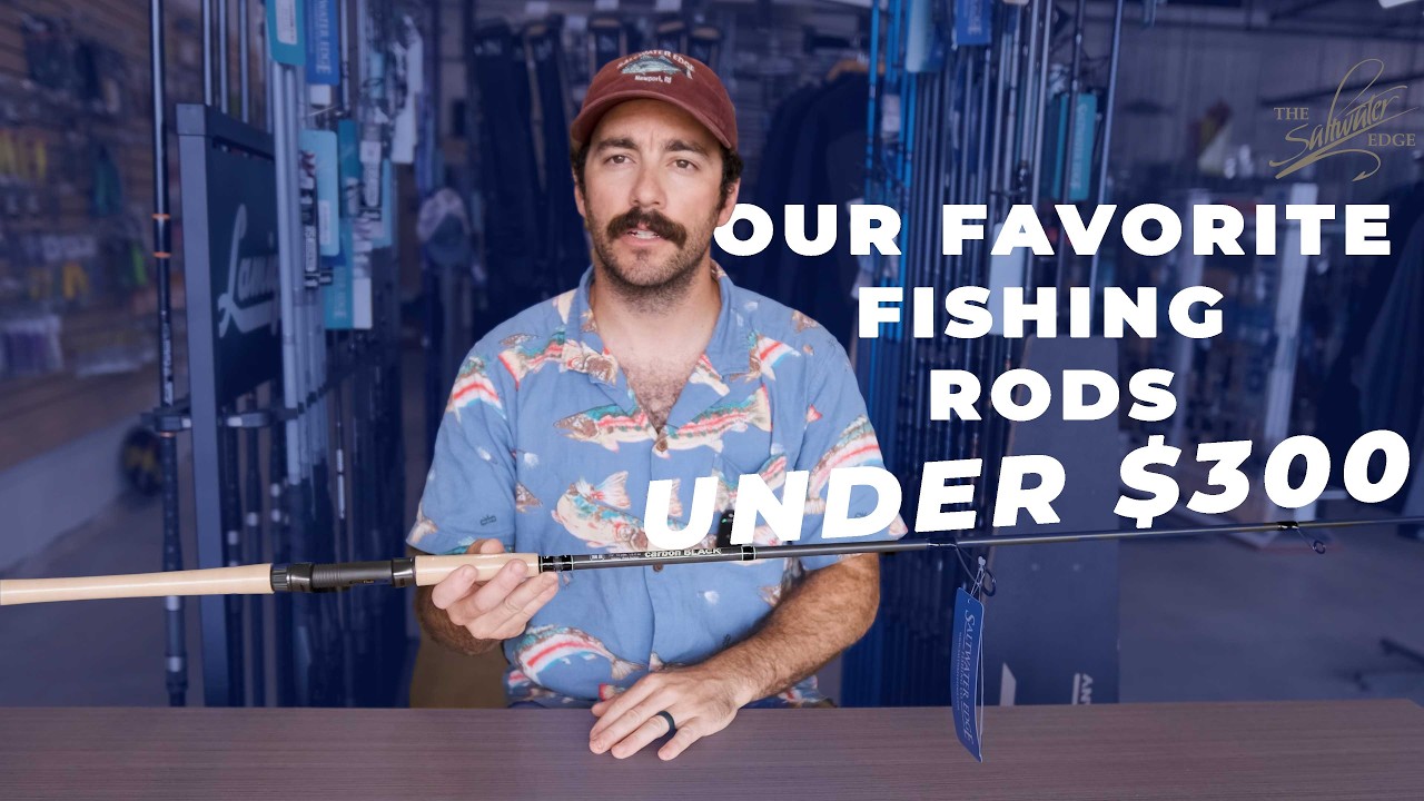 Наши любимые удочки до 300 долларов &mdash; The Saltwater Edge