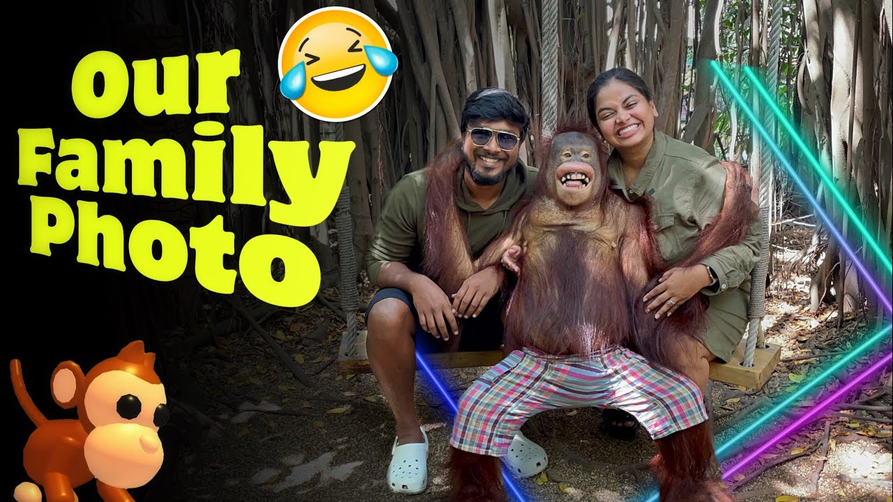 ஜானு மாதிரியே இருக்கியே 🤣🤣 Elephant Massage and Animal Shows 😨