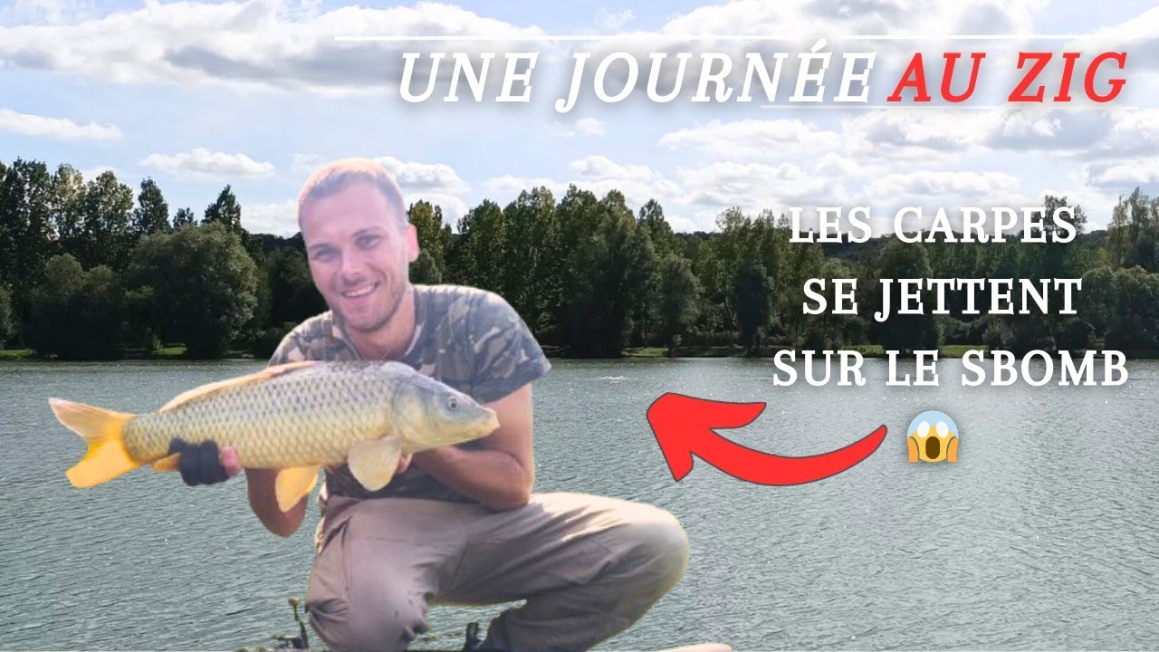 Une journée au zig (Les carpes se jettent sur le sbomb 😱)