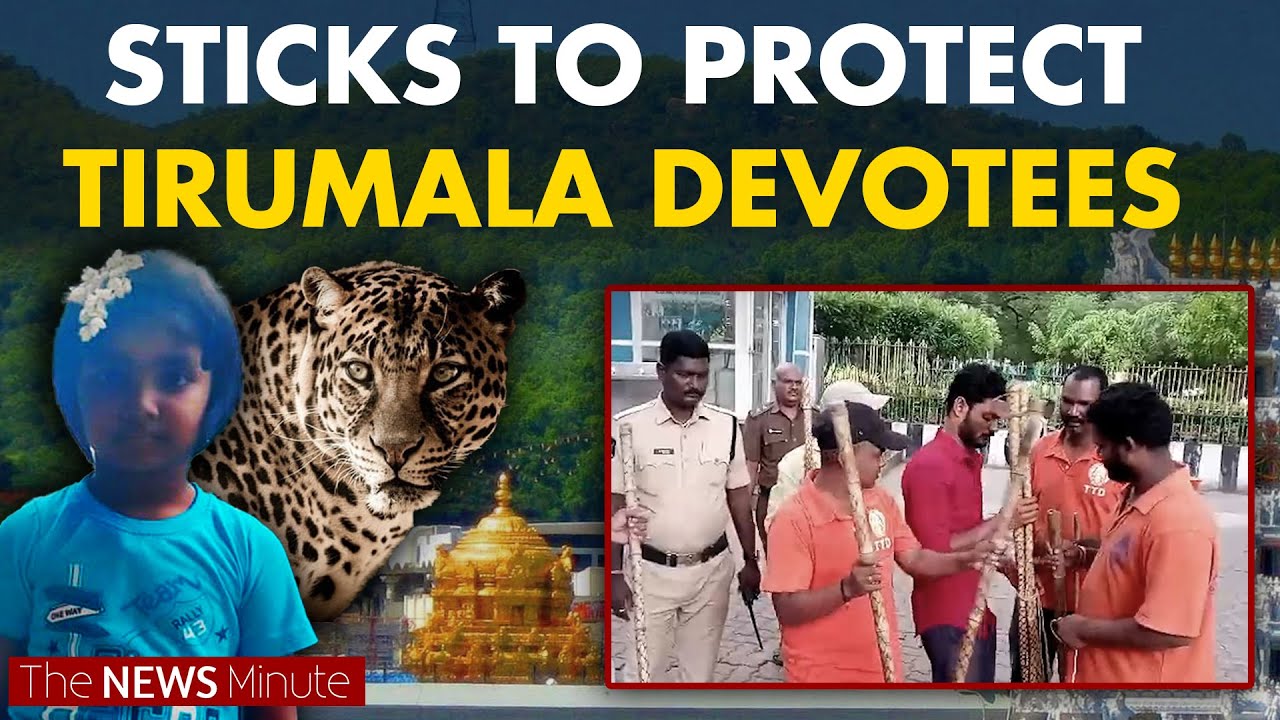 TTD's solution to leopard attacks: Provide sticks to devotees
