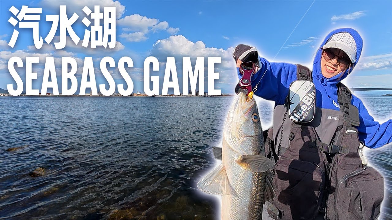 汽水湖シーバスゲーム　水面を見て釣果に繋げろ！