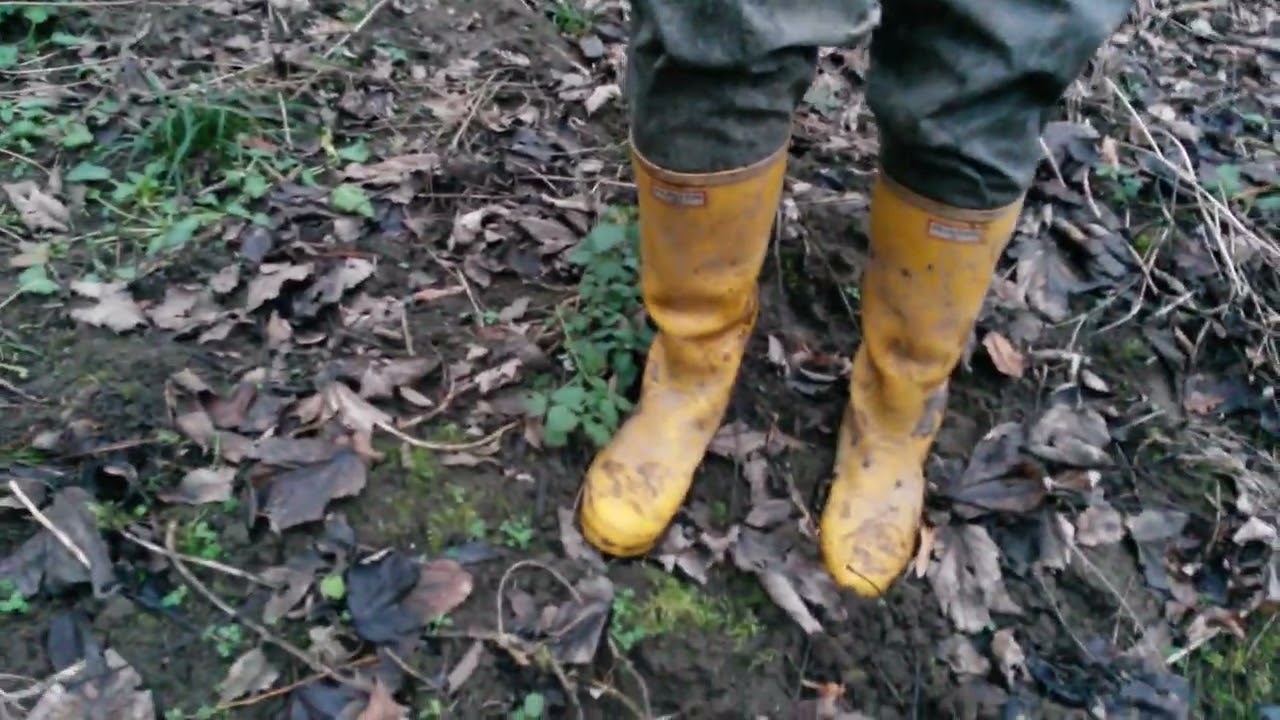 230124 yellow Hunters walking forest #05