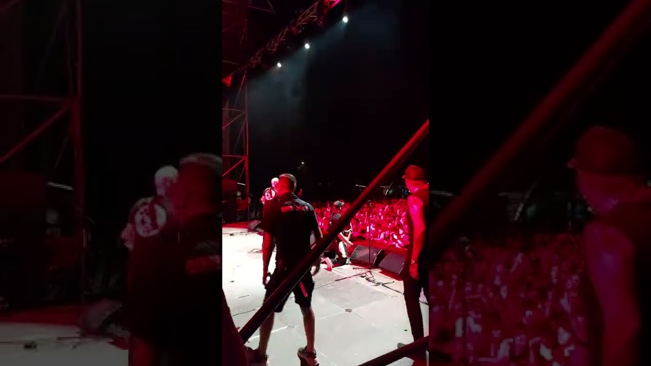 MILLENCOLIN - Penguins & Polarbears Live at Bayfest August 12th, 2022