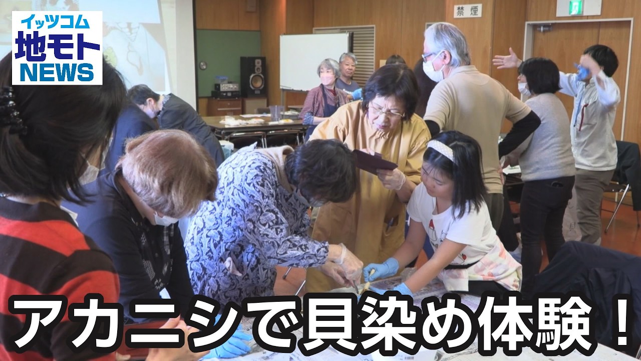 アカニシで貝染め体験！  【地モトNEWS】 2026/3/9 放送