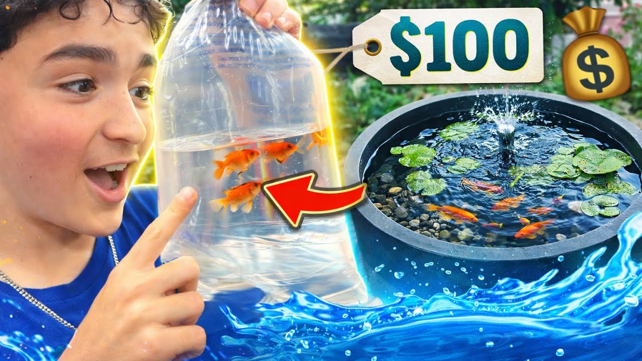 I Built a Patio Pond for Under $100&hellip; And Added Fish!