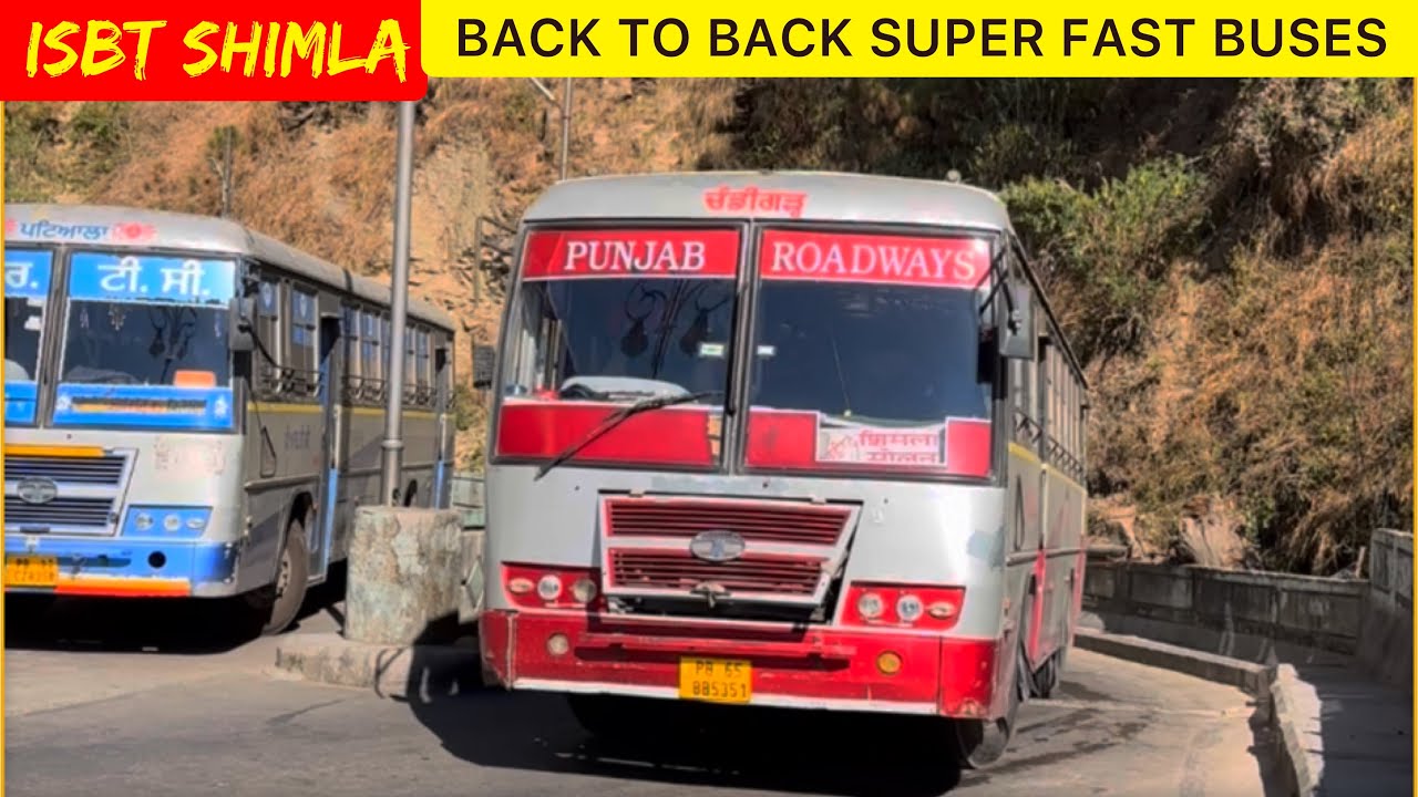 ISBT SHIMLA | Back to Back Super Fast Buses | @him.journey 