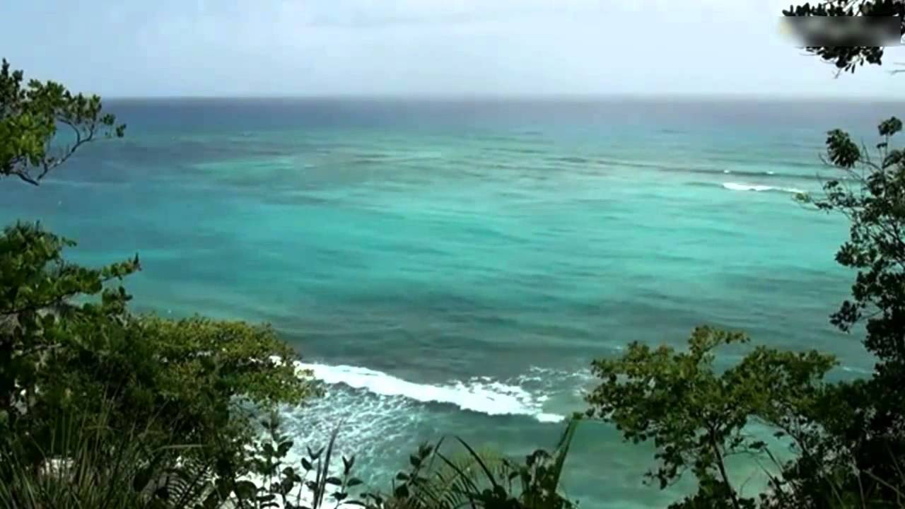 ونادوا يامالك..الشيخ يحي الجناع