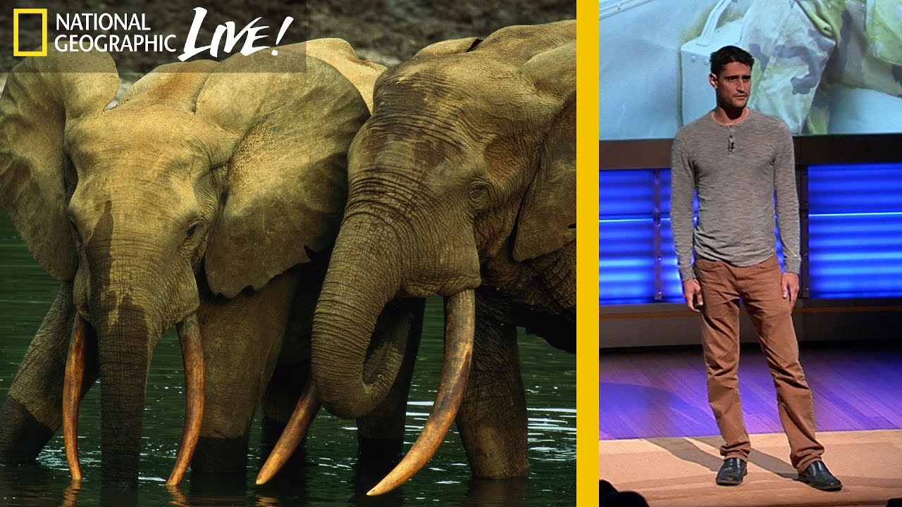 Why It’s So Hard to Fight Wildlife Crime | Nat Geo Live