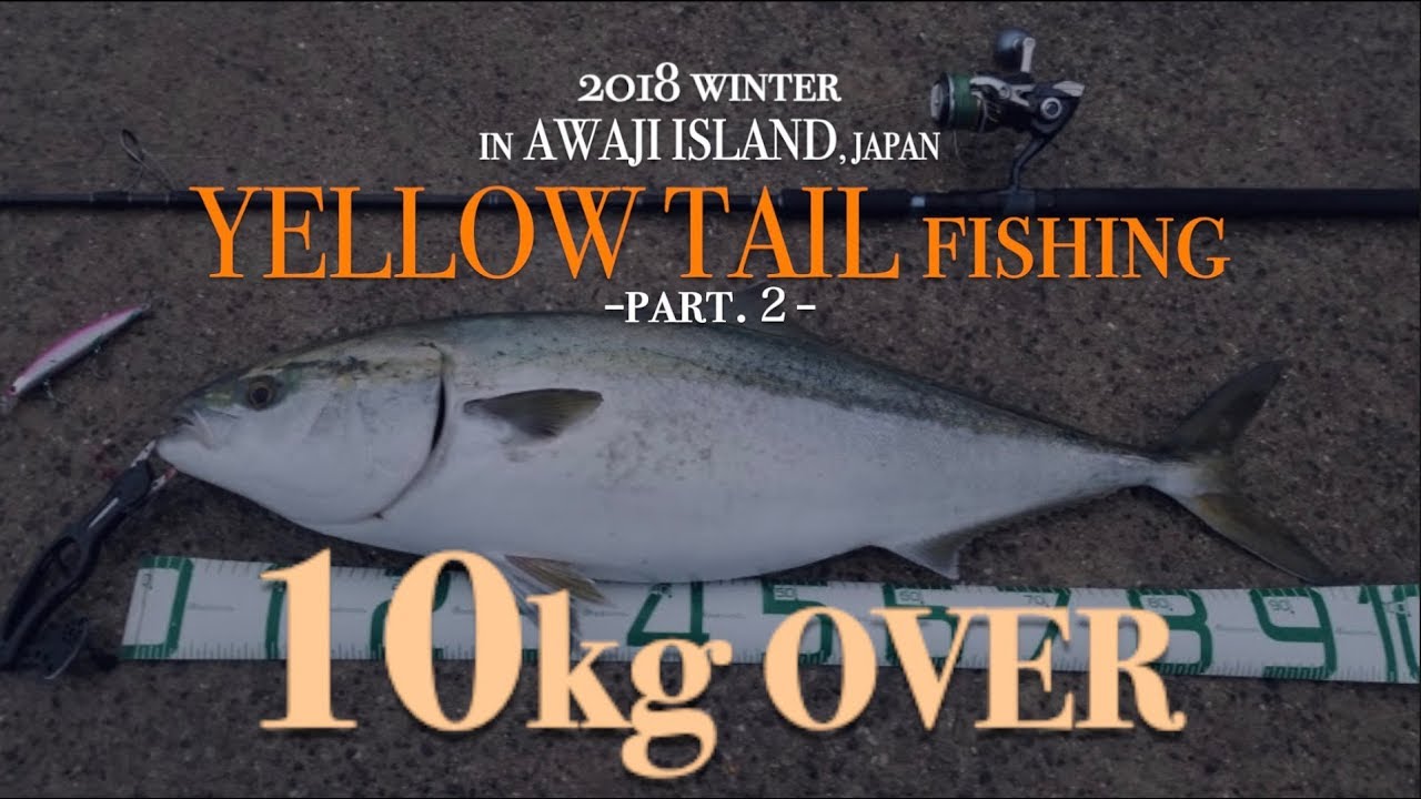 【FISHING#23】淡路島 冬の青物釣り”パート２” 10kgオーバー GoProHERO7 BLACK