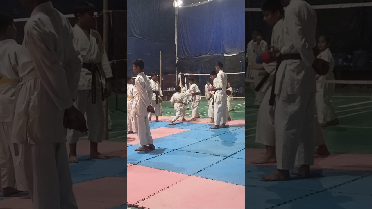 fighting video 