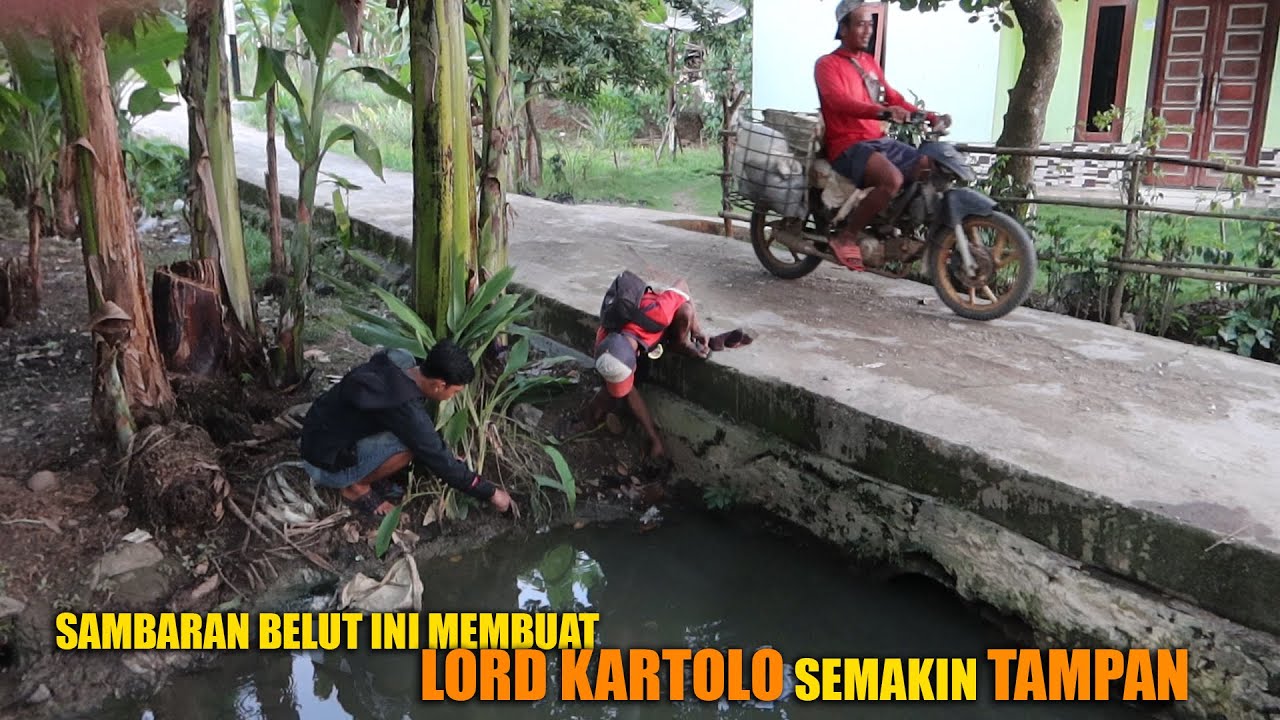 MANCING BELUT HARI INI MEMBUATKU SEMAKIN TAMPAN GAK ADA LAWAN