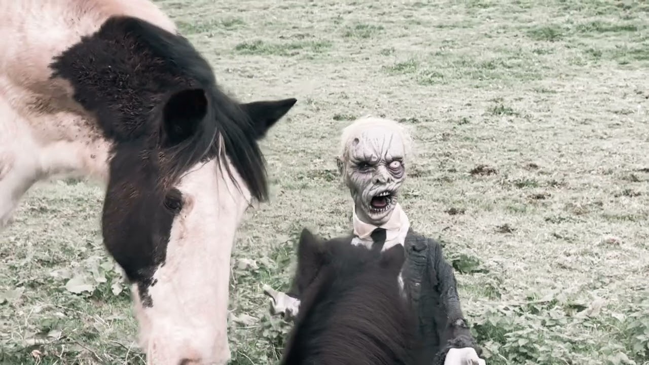 Zombie In The Field