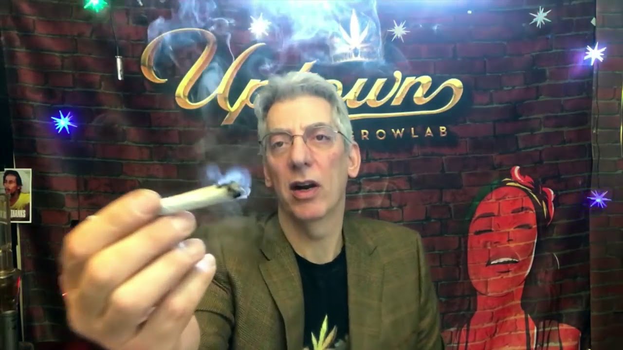 Blue Cookies Medical Marijuana Strain review