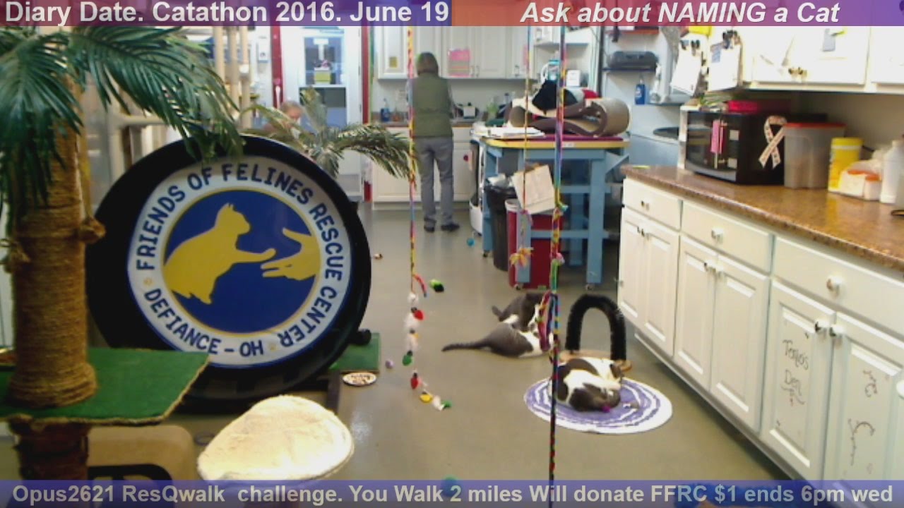 FFRC 20160323 Elsie+Magic+Derecho