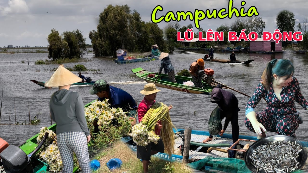 Lũ lên báo động luồng dớn bên Campuchia lúc hết rồi cả xóm lặc Cá Linh Non chợ biên giới 