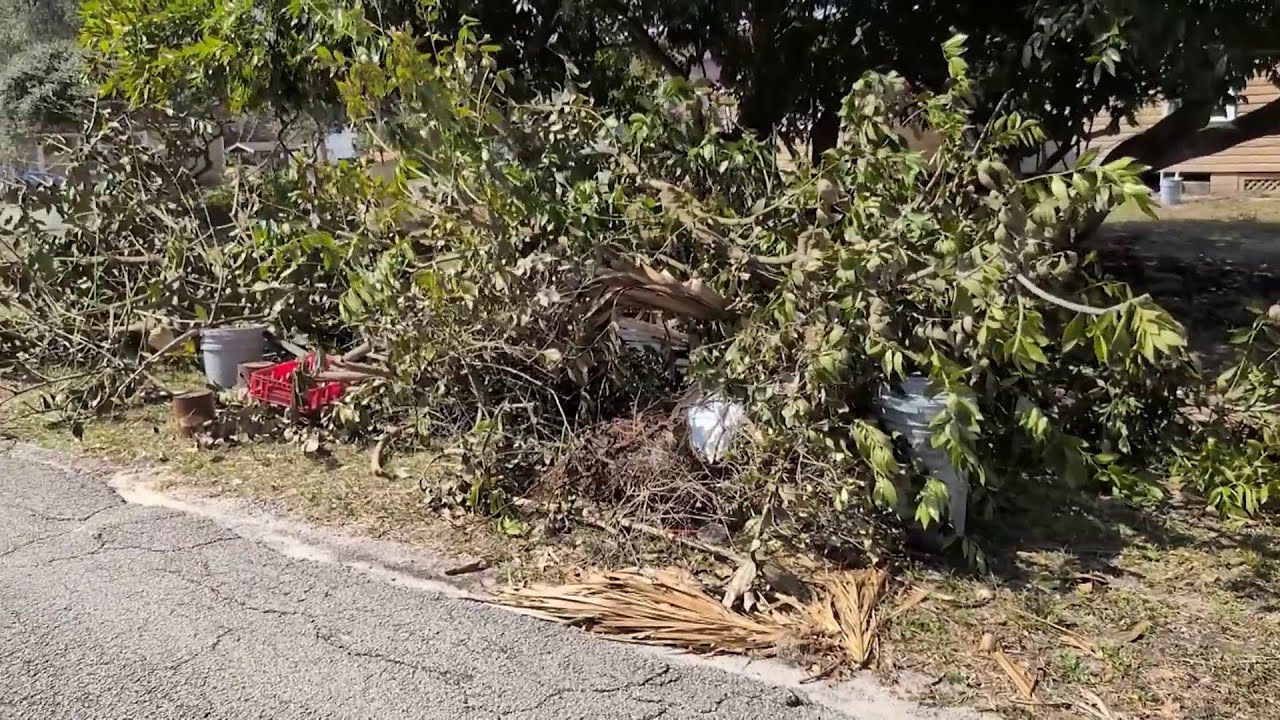 With burn ban in effect, Volusia County urges people to clean up yard debris