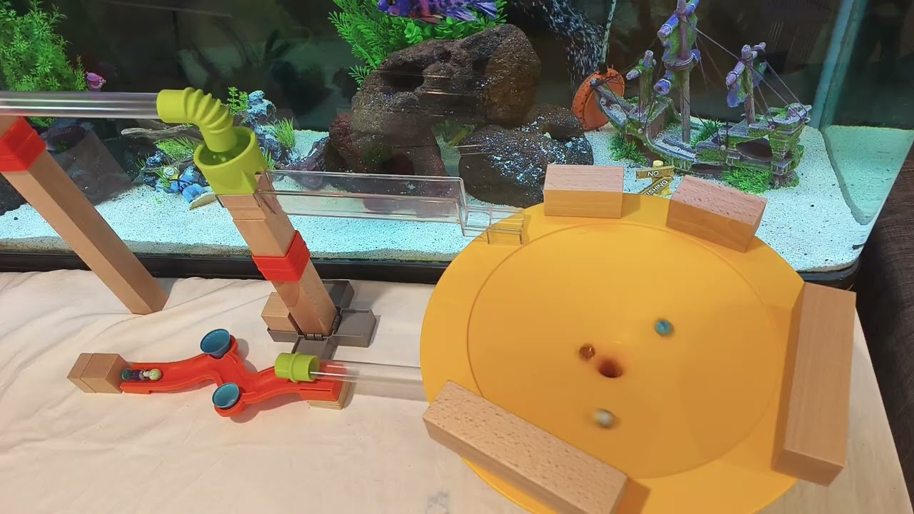 HABA Marble Run ASMR: Funnels, Speed Tubes, Canyon + Serene Fish Tank Backdrop (Extended)