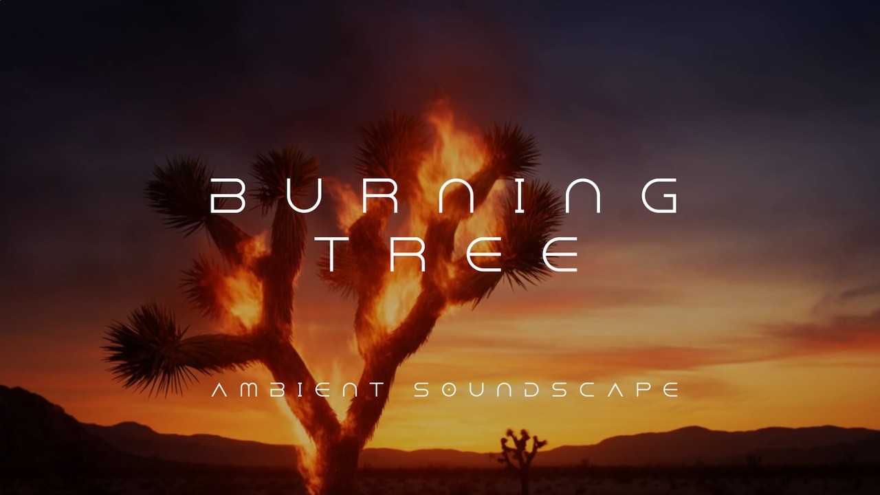 BURNING TREE - 1:00hr Moody Desert Ambient
