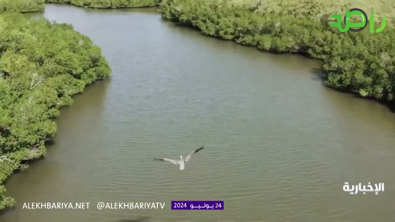 حديقة الملك عبد العزيز سيتم تشجيرها بزراعة 2 مليون شجرة