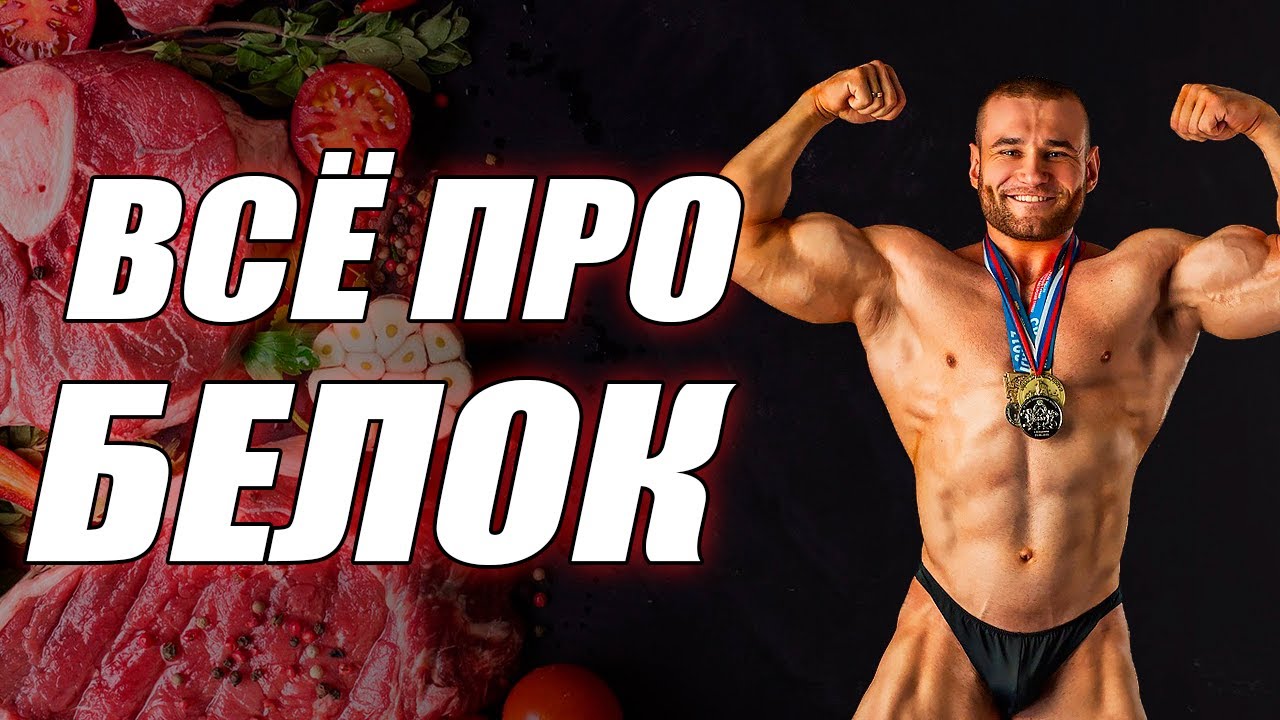 Всё про белок! Почему нужно учитывать только животный белок?
