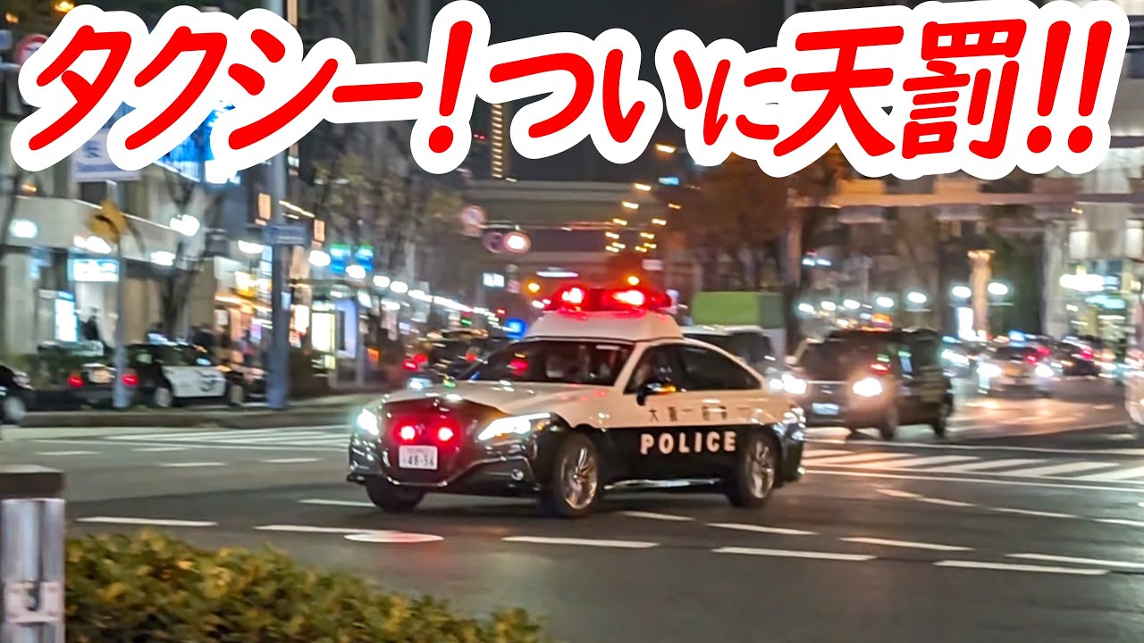 ループと自転車！レベチな信号無視に呆れて手も足も出ないパトカー！＋空気を読めないタクシーついにお咎めの瞬間！【パトカーによる取り締まり】