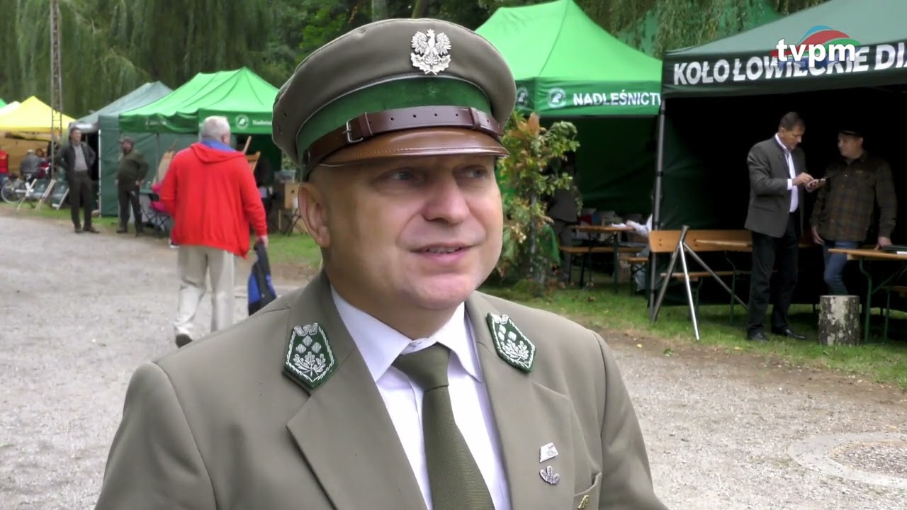 LAS KNIEJA DZICZYZNA
