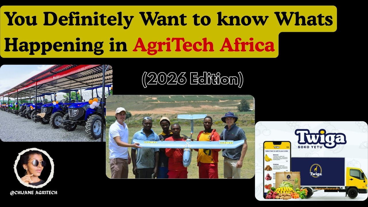 Top 5 Agritech Startups Revolutionizing Africa (2026 Edition) 