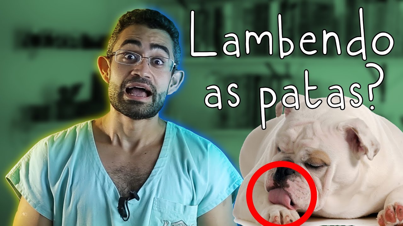 Por que meu CACHORRO fica LAMBENDO AS PATAS? | Dica Veterinária #41