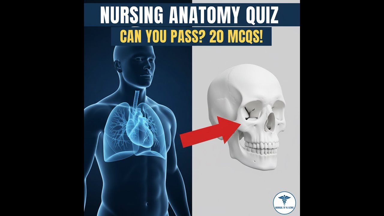 Anatomy & Physiology Quiz Part 1 | Nursing Challenge Series